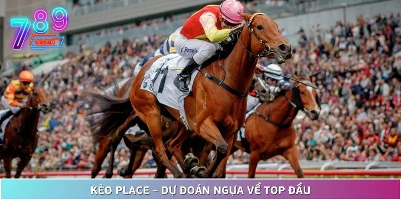 Đua ngựa siêu hấp dẫn tại 789club – chạm đích là rinh tiền! 3 Kèo Place Siêu Hấp Dẫn