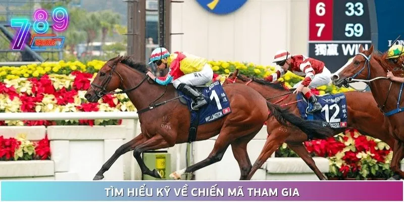 Đua ngựa siêu hấp dẫn tại 789club – chạm đích là rinh tiền! 5 Tìm Hiểu Kỹ Về Ngựa Chiến