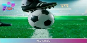 Chơi Kèo Tài Xỉu Như Cao Thủ: Chiến Lược Hay, Tiền Về Đầy Tay