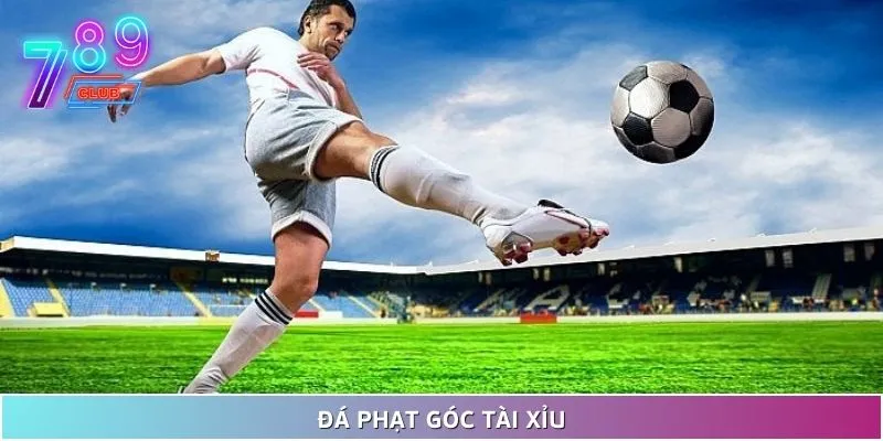 Chơi kèo tài xỉu như cao thủ: chiến lược hay, tiền về đầy tay 3 Đá Phạt Góc Tài Xỉu Được Nhiều Bet Thủ Quan Tâm