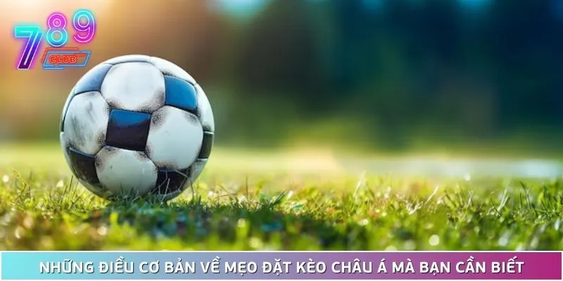 Khám phá mẹo đặt kèo châu á 789club chuẩn không cần chỉnh 3 Những Điều Cơ Bản Về Mẹo Đặt Kèo Châu Á Mà Bạn Cần Biết