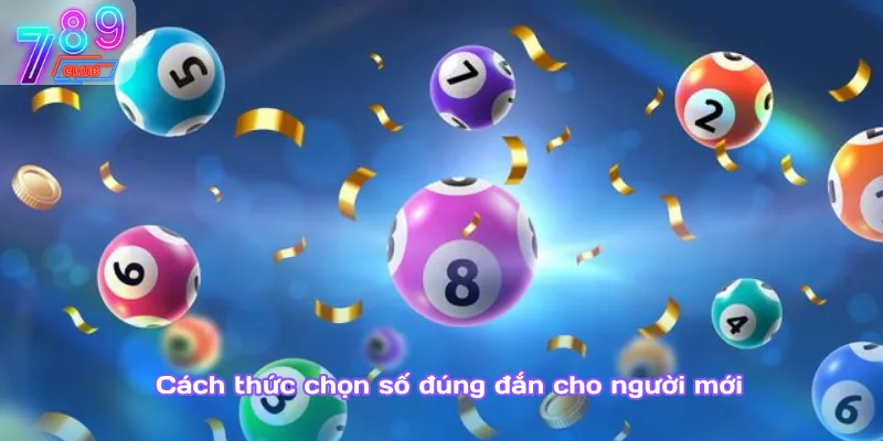 Lô tô – bí quyết chọn số từ cao thủ giúp nâng xác suất trúng 3 Cách Thức Chọn Số Đúng Đắn Cho Người Mới